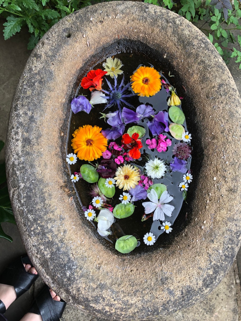 Come What May… 8. Pictures That Help Me Appreciate The Delicate Balance Between Humans & Nature This Beltane&nbsp;🌸